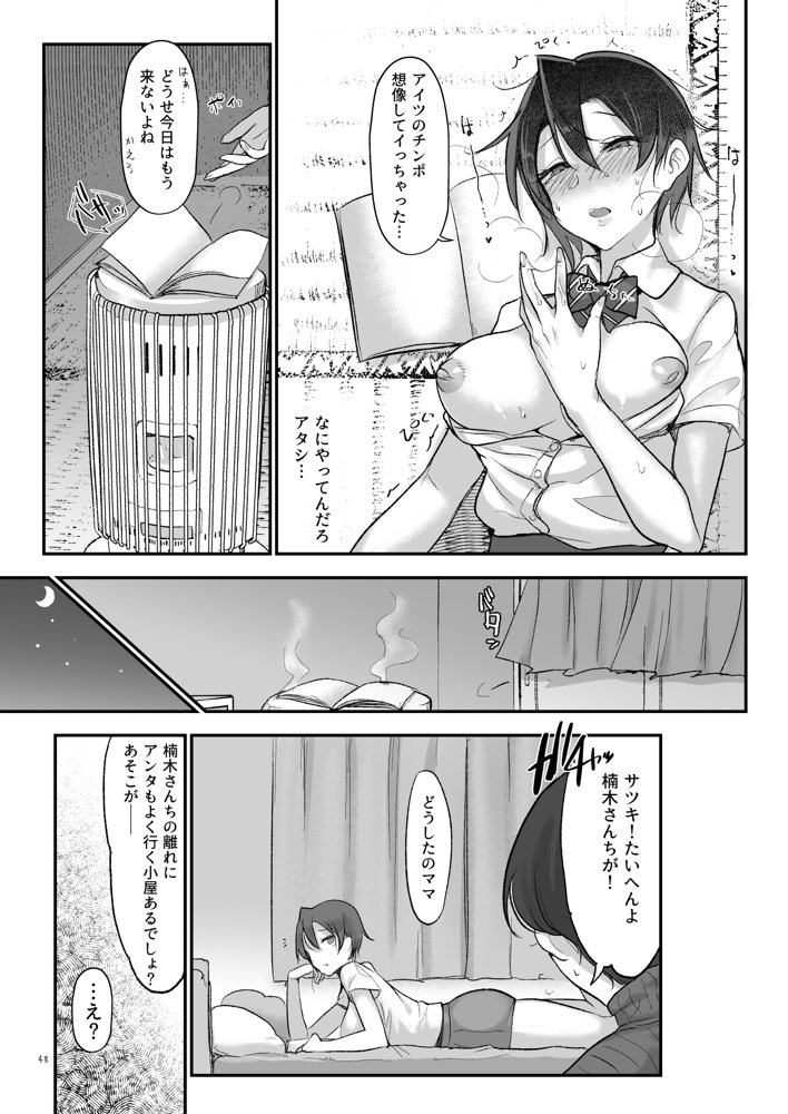 メスダチ総集編2【SHIS】 エロ同人誌画像 025