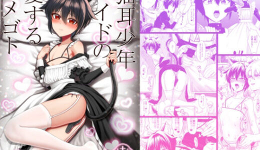 猫耳少年メイドの愛するヒメゴト【対々会】